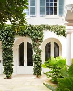 a white house with blue shutters and green plants on the front door, surrounded by greenery