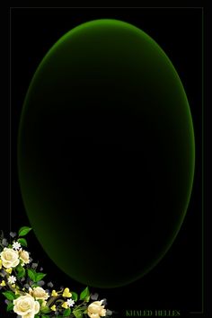 a black background with white flowers and green circle