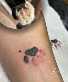 a cat paw is shown in front of a mirror with its paw print on it