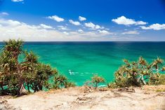 the ocean is blue and green with white clouds in the sky, while some trees are on the shore