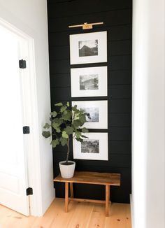 a small wooden bench in front of a black wall with pictures on it and a potted plant