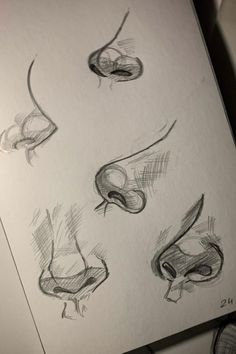 some drawings of different angles and shapes of the nose, eyes, and mouth are shown