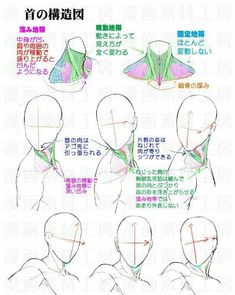 how to draw the head and neck in different ways with instructions for beginners, step by