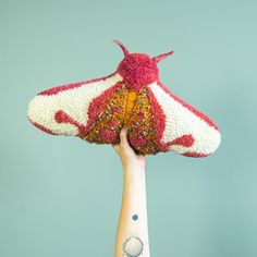 a hand holding a red and white stuffed animal in the shape of a butterfly on it's arm