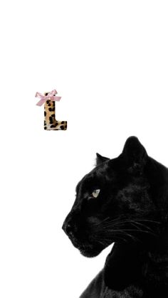 a black cat sitting in front of a wall with a pink bow on it's head