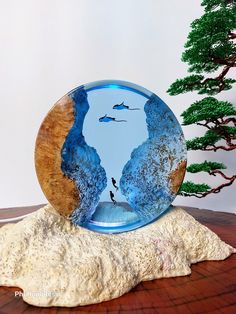 a glass plate sitting on top of a wooden table next to a small pine tree