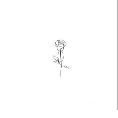 a drawing of a single rose on a white background