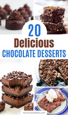 20 delicious chocolate desserts with text overlay