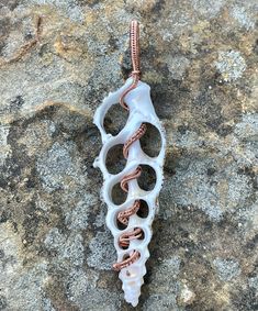 Natural Sea Shell Slice Pendant in wire wrapped Copper. Wire Wrapped Seashells, Wire Wrapped Sea Shells, How To Make Shell Jewelry, Seashell Jewelry Diy, Ocean Energy, Seashell Art Diy, Seashell Projects, Wire Wrapping Diy, Beach Stuff