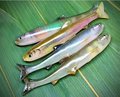 three small fish sitting on top of a green leaf covered table next to each other