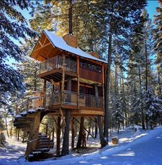 a tree house in the snow surrounded by trees