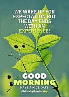 a green leaf with the words good morning have a nice day on it and an image of