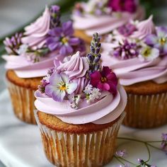 cupcakes with pink frosting and purple flowers