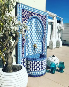 a potted tree sitting next to a blue and white tile fountain on top of a sidewalk