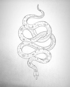 a drawing of a snake on paper