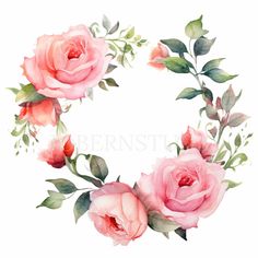 watercolor painting of pink roses with green leaves and buds on a white background in the shape of a wreath