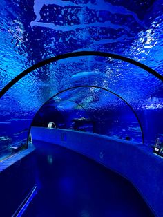 an underwater tunnel is shown with blue water