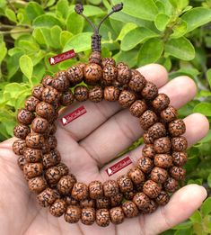 📿Elevate your meditation practice with our exquisite 108 Natural Aged Brown Rudraksha Mala . This thoughtfully designed mala effortlessly fuses the inherent beauty of aged brown Rudraksha beads , offering you a seamless and mindful counting experience. The 108 Natural Aged Brown Rudraksha beads exude an earthy and grounding energy, connecting you with the essence of nature and self. Each bead carries the wisdom of time, fostering a sense of calm and equilibrium during your practice. The contras Round Beaded Bracelets For Meditation And Festivals, Beaded Bracelets With Round Beads For Meditation And Festivals, Spiritual Mala With 108 Beads For Festival, Adjustable Spiritual Mala For Puja, Brown 8mm Beads Mala For Festival, Brown Mala With 8mm Beads For Festival, Traditional Bracelets With 8mm Beads For Festivals, Traditional 8mm Beaded Bracelets For Festivals, Holistic Mala With 108 Beads For Festival