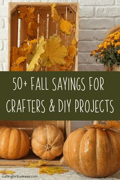 pumpkins and gourds with the words 50 + fall savings for crafters & diy projects