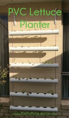 there is a sign that says pwc lettuce planter hanging from the side of a building