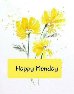 Happy Monday! Have a sunshiny kind of day! 🌞 Soft Voice, Blessed And Grateful, Morning Ideas, Monday Greetings, Happy Monday Quotes, Happy Monday Morning, Feeling Alive