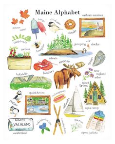 the maine alphabet is shown in this watercolor drawing