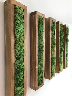 moss is growing on the side of a wooden paneled wall mounted to a white wall