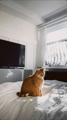 an orange cat sitting on top of a bed next to a flat screen tv in a bedroom