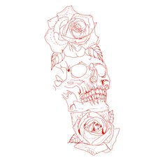 a drawing of a skull with roses on it