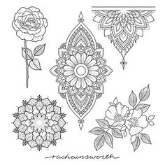 four different flowers and leaves on a white background with the words, hennawortha