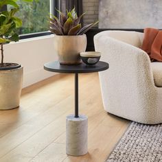 two potted plants sit on top of a table in front of a couch and window