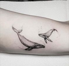 a whale and calf tattoo on the right arm