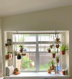 a window with potted plants on the windowsill and bookshelf behind it