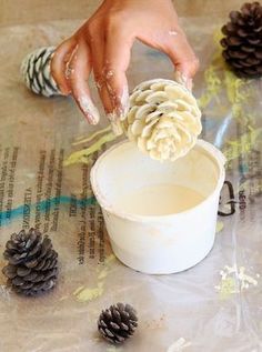 Painted Pinecones, Pine Cone Art, Pinecone Crafts, Diy Pinecone, Cone Crafts, Pine Cone Decorations