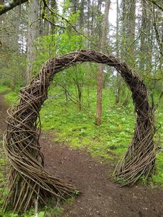 an arch made out of branches in the woods