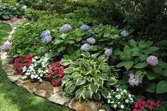 a garden filled with lots of different types of flowers