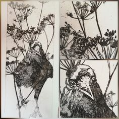 three pictures of birds and flowers in black and white