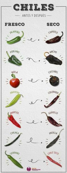 an illustrated poster with chilis and other types of peppers in different shapes, sizes and colors