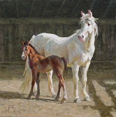 two horses standing next to each other on a dirt ground