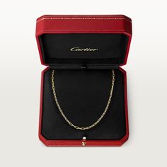 Santos de Cartier necklace Cartier Jewelry Necklace, Prada Ambassador, Cartier Necklace, Expensive Jewelry Luxury, Cartier Santos, Perfume Samples, Cartier Jewelry, Cartier Men, Girly Accessories