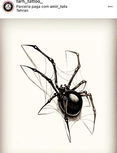 a black and white drawing of a spider