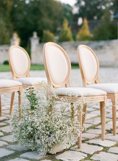 the chairs are lined up with baby's breath flowers