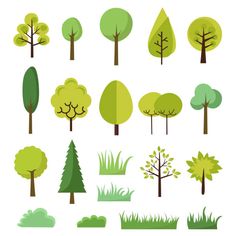 various trees and shrubs are shown in this illustration