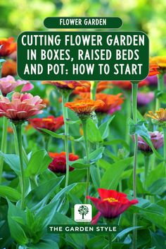 flowers with the words cutting flower garden in boxes, raised beds and pot how to start