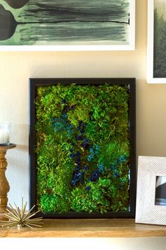 a moss covered wall in a frame on a table next to candles and pictures hanging on the wall