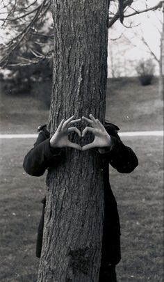 two hands making a heart shape on the side of a tree