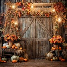 pumpkins and gourds are arranged in front of an old wooden barn door