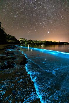 the night sky is lit up with blue lights and stars above an ocean shore line