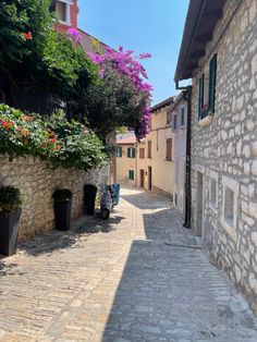 an alley way with potted plants and flowers on either side, surrounded by stone buildings