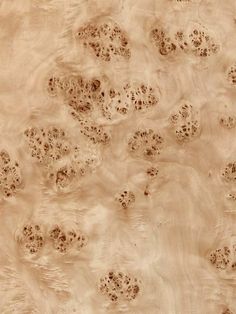 an abstract wood texture with brown spots